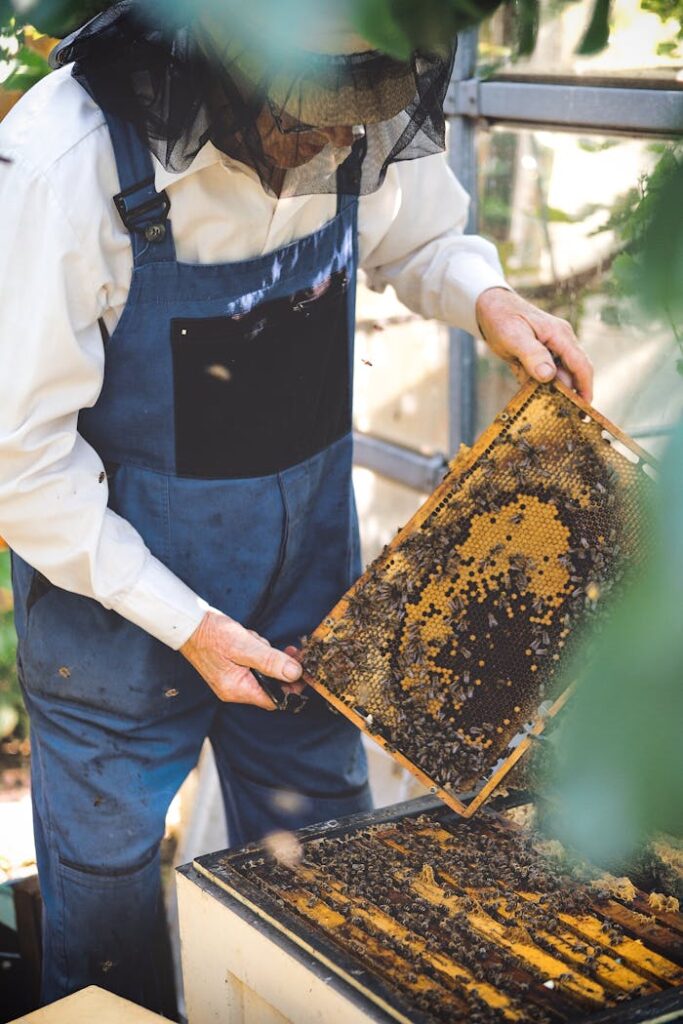 A beekeeper in protective gear inspects a honeycomb frame in an outdoor hive.